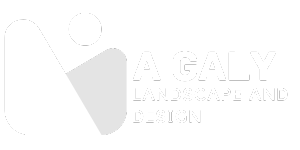A Galy Landscape and Design